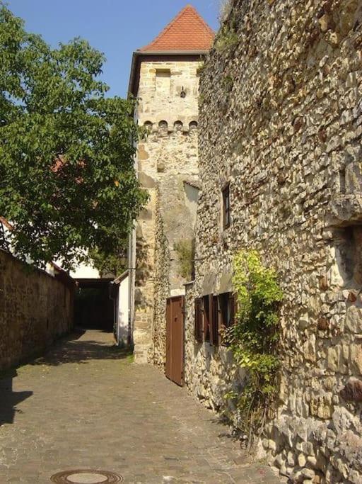 Freinsheim Altstadt Lägenhet Exteriör bild